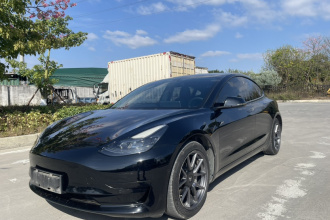 特斯拉 Model 3 2021款 改款 标准续航后驱升级版 3D1