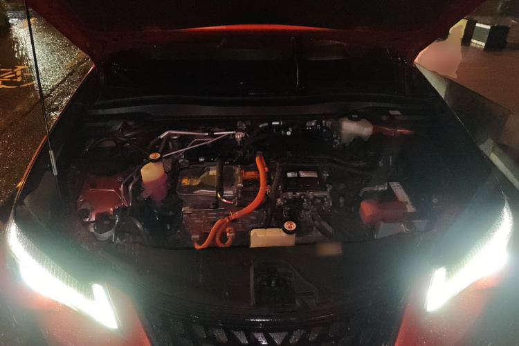 雷克萨斯UX新能源 2020款 300e 纯·悦版局部细节24