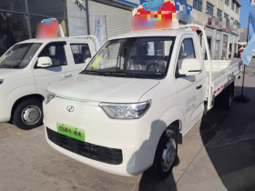 瑞驰汽车 瑞驰C5 2025款 纯电 单排 先锋版 栏板