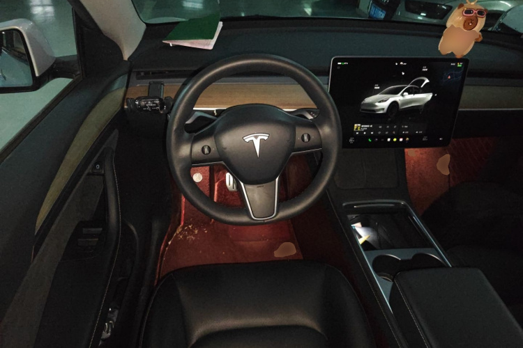 特斯拉 Model Y 2022款 Performance高性能全轮驱动版中控内饰13