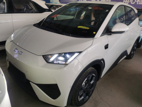 比亚迪 海鸥 2025款 智驾版 305km 自由版