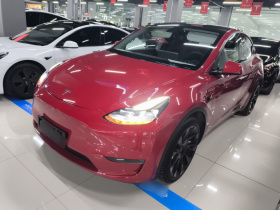 特斯拉 Model Y 2021款 长续航全轮驱动版