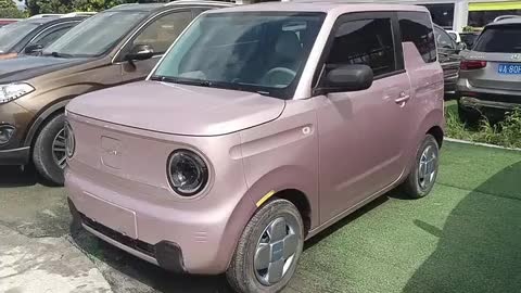 吉利汽车 2023款 熊猫mini 200km 耐力熊实拍1