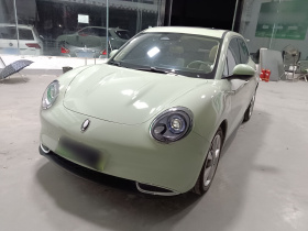 欧拉好猫 2023款 401km标准续航 尊荣型 磷酸铁锂