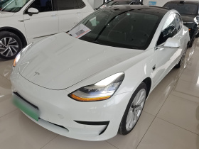 特斯拉 Model 3 2019款 标准续航后驱升级版