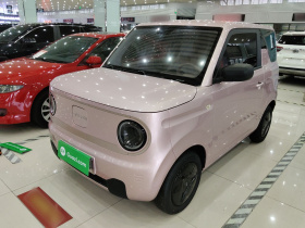 吉利银河 2023款 熊猫mini 200km 耐力熊