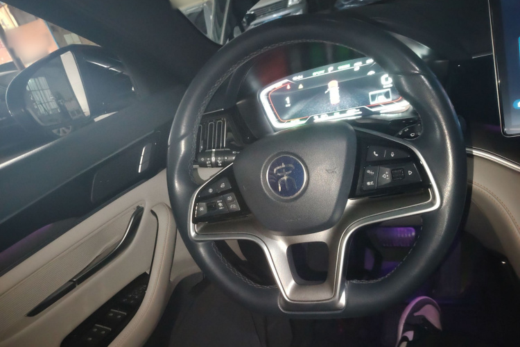 比亚迪 宋PLUS新能源 2021款 EV 旗舰型局部细节13