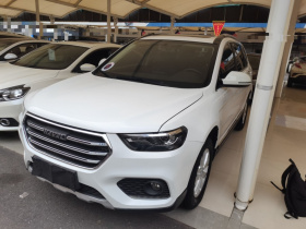 哈弗H6 2021款 运动版 1.5T 自动精英智联型 六边形格栅