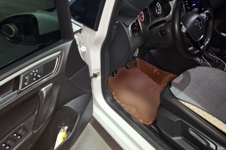 大众 高尔夫·嘉旅 2019款 280TSI 自动好奇型 国V中控内饰20