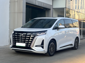 腾势D9 2022款 DM-i 970 四驱旗舰型