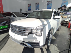 广汽传祺 传祺GS8 2017款 320T 两驱豪华智联版（七座）