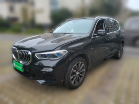 宝马X5(进口) 2019款 xDrive40i M运动套装