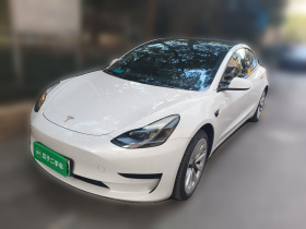 特斯拉 Model 3 2022款 后轮驱动版