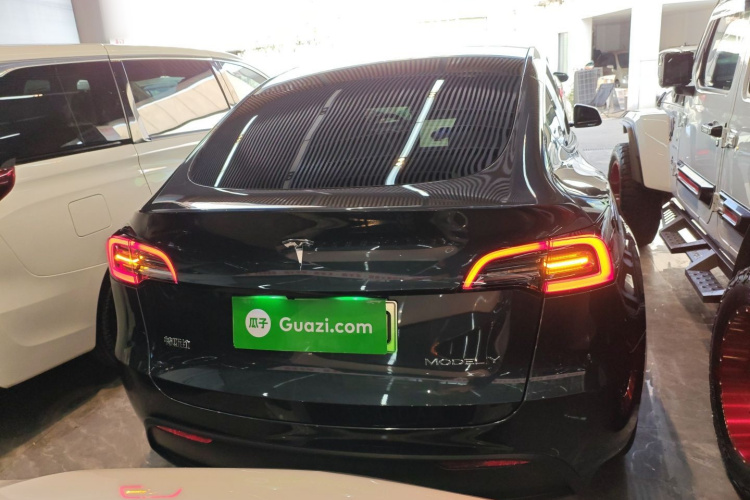 特斯拉 Model Y 2024款 长续航全轮驱动版车身外观6004
