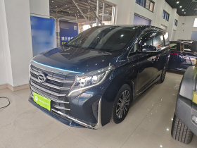 广汽传祺 传祺M8 2023款 领秀系列 390T 尊贵版