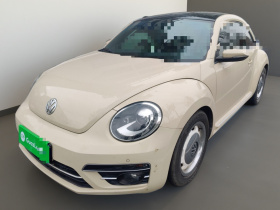 大众 甲壳虫 2019款 180TSI 珍藏版