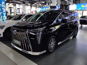 广汽传祺 传祺E9 2023款 E9 宗师