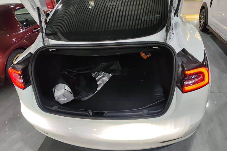 特斯拉 Model 3 2019款 标准续航后驱升级版局部细节23