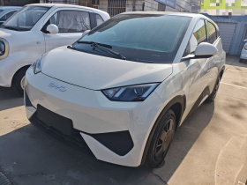 比亚迪 海鸥 2025款 智驾版 305km 活力版