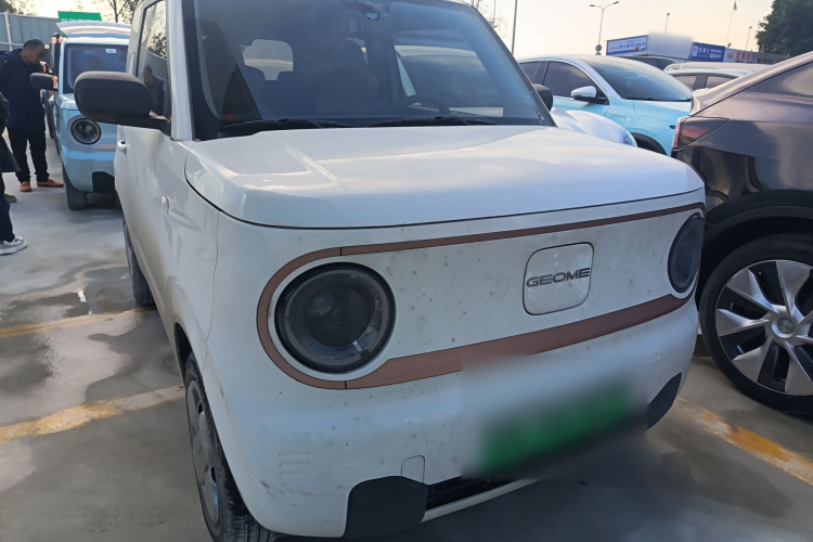 吉利银河 2024款 熊猫mini 200km 龙腾PRO版车身外观3