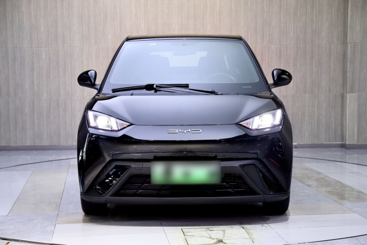 比亚迪 海鸥 2023款 飞翔版车身外观6004