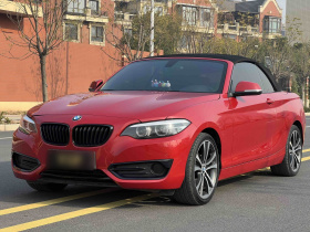 宝马2系(进口) 2019款 225i 敞篷轿跑车 运动设计套装