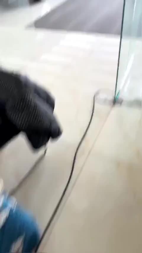 雷克萨斯IS 2015款 200t F SPORT讲解2