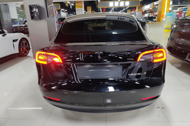 特斯拉 Model 3 2020款 改款 标准续航后驱升级版车身外观6004