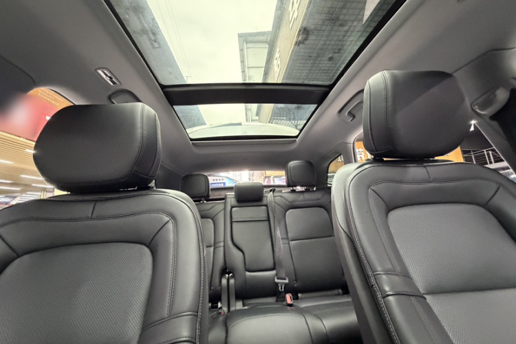 林肯 冒险家新能源 2021款 PHEV 四驱e雅版局部细节22