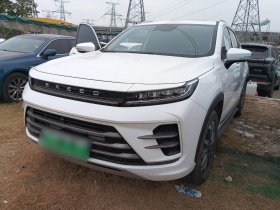 星途追风C-DM 2022款 1.5TCI-DHT 105KM乘风起版