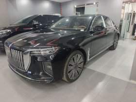 红旗H9 2025款 2.0T 两驱旗享豪华商务版 5座