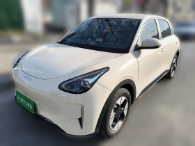 吉利银河 星愿 2025款 310km 梦想版