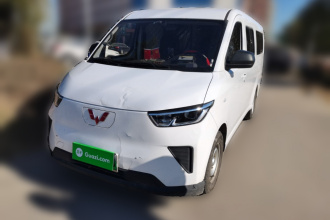 五菱汽车 五菱扬光 2024款 300km 舒适型客车版 60kW