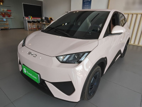 比亚迪 海鸥 2025款 智驾版 305km 活力版