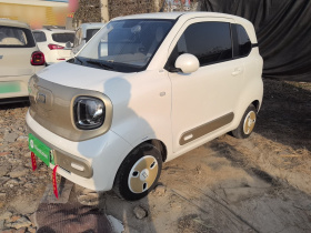 奔腾小马 2025款 222km 灵动马