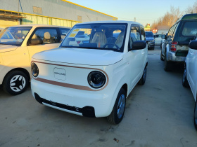 吉利银河 2024款 熊猫mini 200km 耐力熊