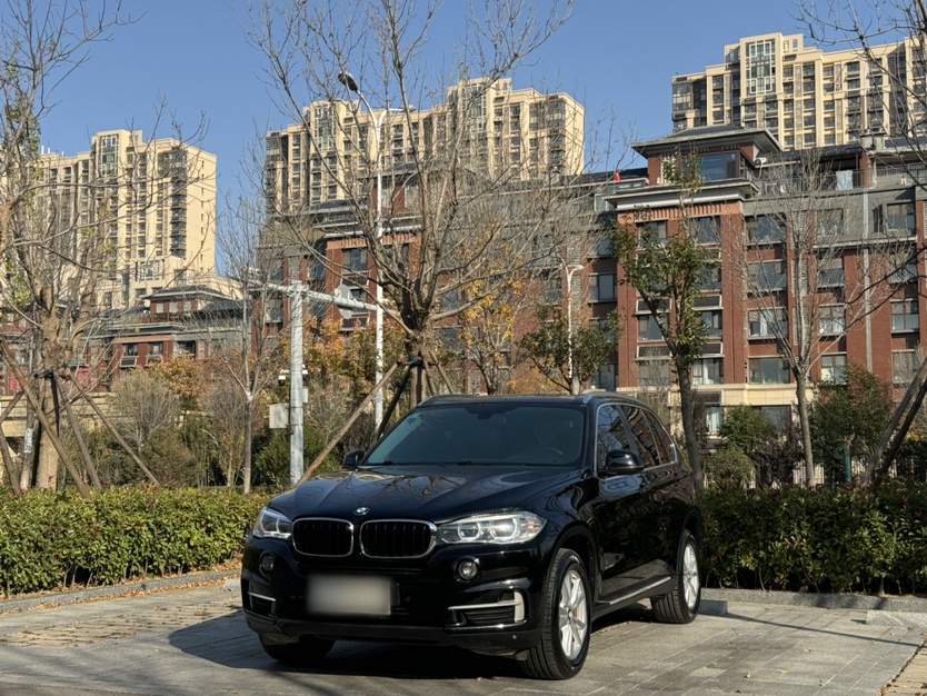 2020款 宝马X5(进口) xDrive30i X设计套装图片
