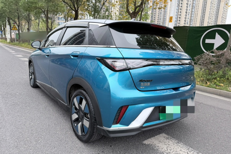 比亚迪 海豚 2021款 401km 骑士版车身外观6007