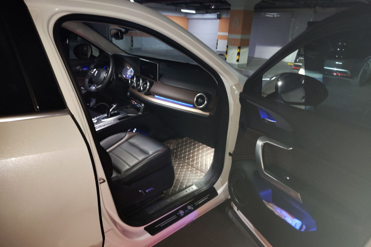 魏牌 VV5 2021款 1.5T 两驱智先锋局部细节9005