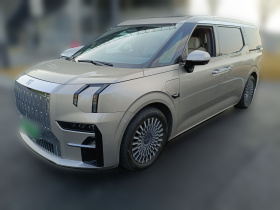 极氪009 2022款 WE版