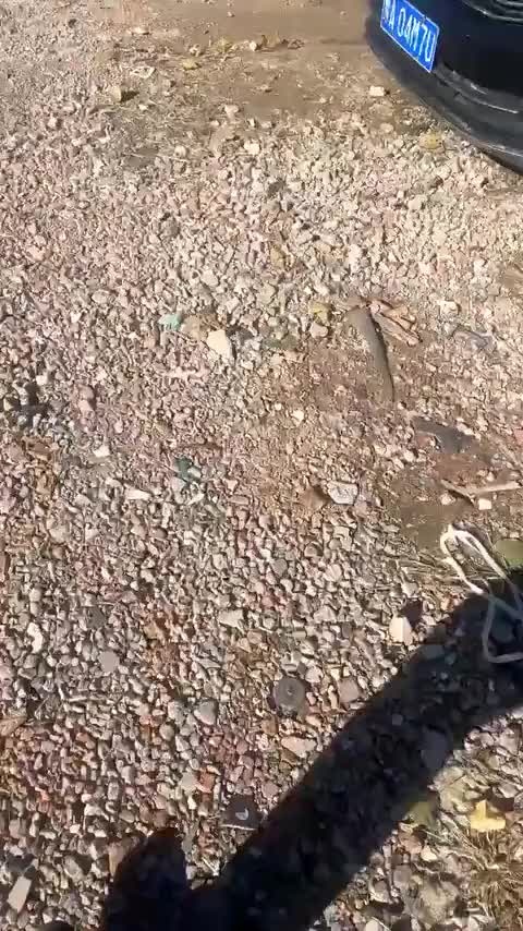 大众 Polo 2014款 1.4L 自动舒适版讲解2