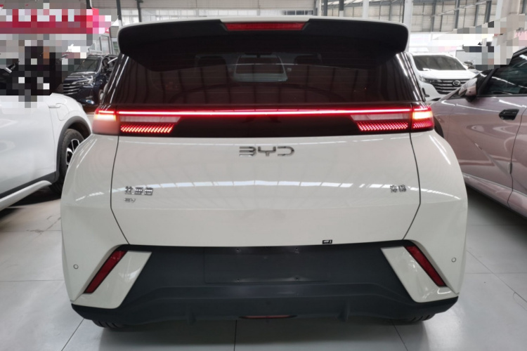 比亚迪 海鸥 2024款 荣耀版 305km 活力版车身外观6