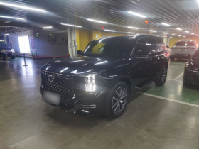 广汽传祺 传祺GS8 2022款 领航系列 2.0TGDI 两驱豪华智联版（七座）