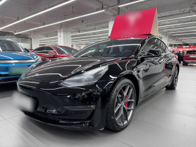 特斯拉 Model 3 2022款 Performance高性能全轮驱动版