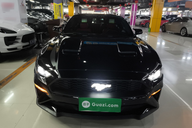 福特Mustang（平行进口） 车身外观2