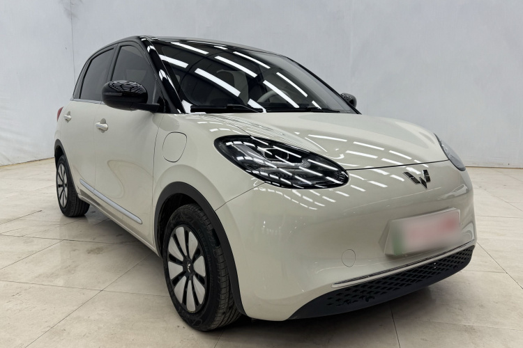 五菱汽车 五菱缤果 2023款 410km 灵犀尊享款车身外观6004