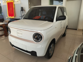 吉利银河 2023款 熊猫mini 200km 耐力熊