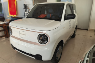 吉利银河 2023款 熊猫mini 200km 耐力熊