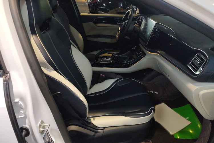 比亚迪 秦PLUS 2021款 EV 500KM 尊贵型局部细节41