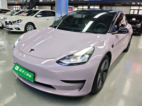特斯拉 Model 3 2021款 标准续航后驱升级版